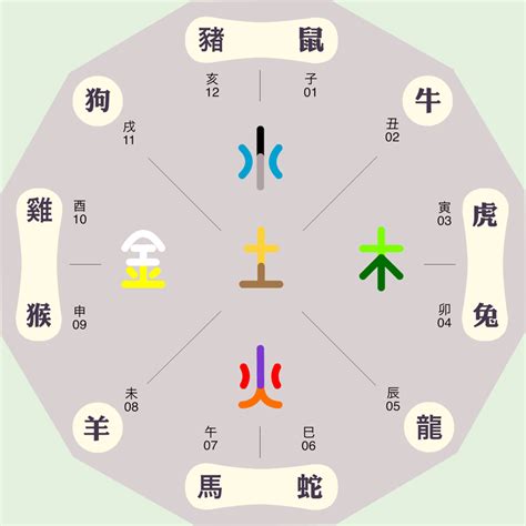 深紫色五行|十二地支与色彩的五行属性